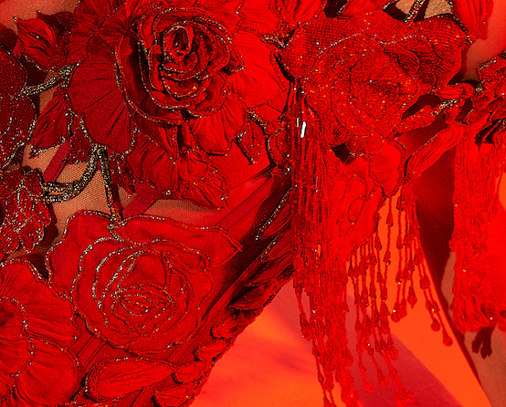 Load video: Aggunj Couture- 3D embellishments in cascading florals. Explore our signature drpaes, gowns and corsets.